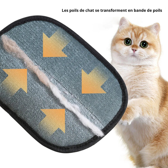 Pawless™ - Dites adieu aux poils en un seul geste